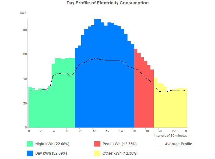 Day profile of electricity consumption